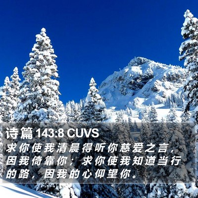 诗 篇 143:8 CUVS Bible Verse Image
