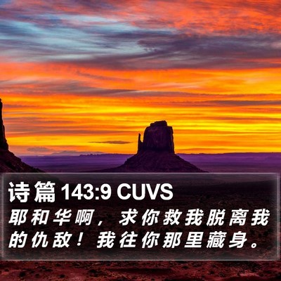 诗 篇 143:9 CUVS Bible Verse Image
