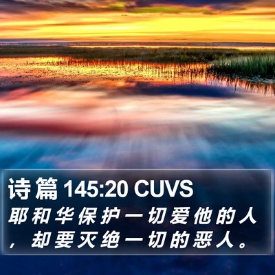 诗 篇 145:20 CUVS Bible Verse Image