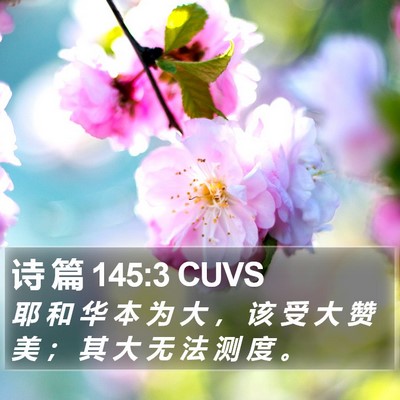 诗 篇 145:3 CUVS Bible Verse Image