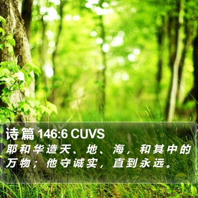 诗 篇 146:6 CUVS Bible Verse Image