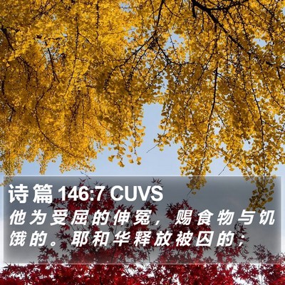 诗 篇 146:7 CUVS Bible Verse Image