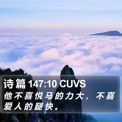 诗 篇 147:10 CUVS Bible Verse Image