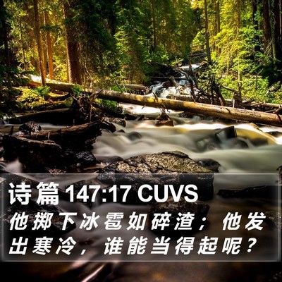 诗 篇 147:17 CUVS Bible Verse Image