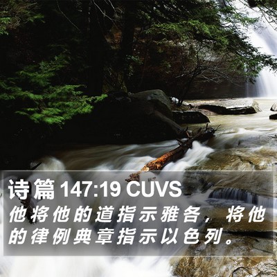 诗 篇 147:19 CUVS Bible Verse Image