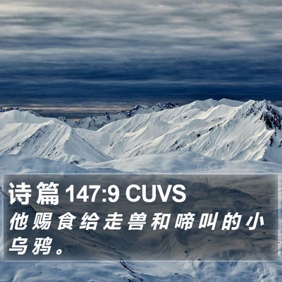 诗 篇 147:9 CUVS Bible Verse Image