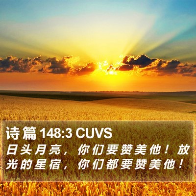 诗 篇 148:3 CUVS Bible Verse Image