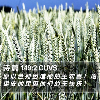 诗 篇 149:2 CUVS Bible Verse Image