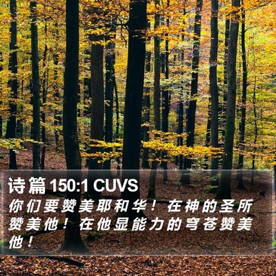 诗 篇 150:1 CUVS Bible Verse Image