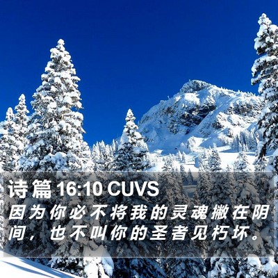 诗 篇 16:10 CUVS Bible Verse Image