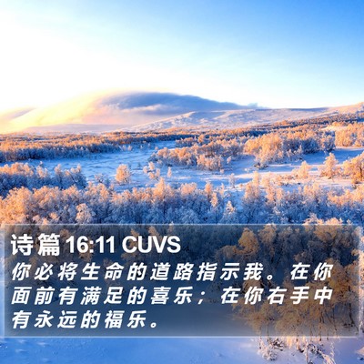 诗 篇 16:11 CUVS Bible Verse Image