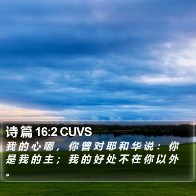 诗 篇 16:2 CUVS Bible Verse Image