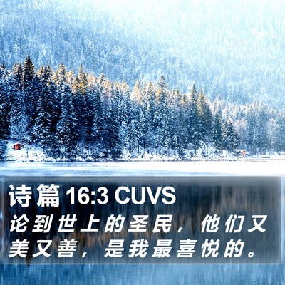 诗 篇 16:3 CUVS Bible Verse Image