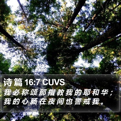 诗 篇 16:7 CUVS Bible Verse Image