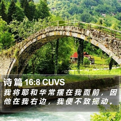 诗 篇 16:8 CUVS Bible Verse Image