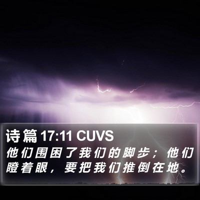 诗 篇 17:11 CUVS Bible Verse Image