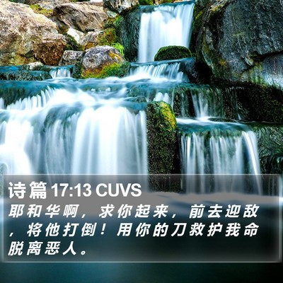 诗 篇 17:13 CUVS Bible Verse Image