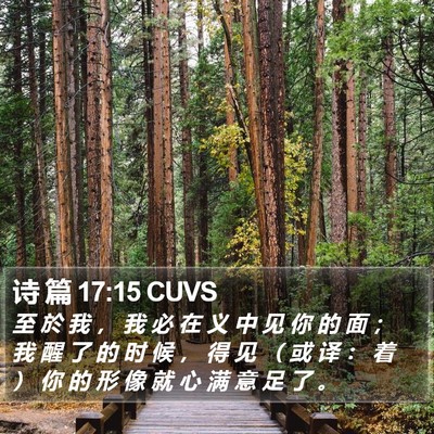 诗 篇 17:15 CUVS Bible Verse Image