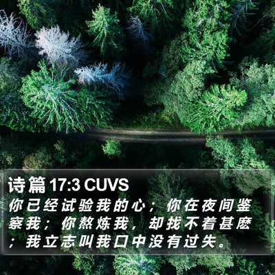 诗 篇 17:3 CUVS Bible Verse Image