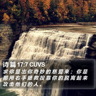 诗 篇 17:7 CUVS Bible Verse Image