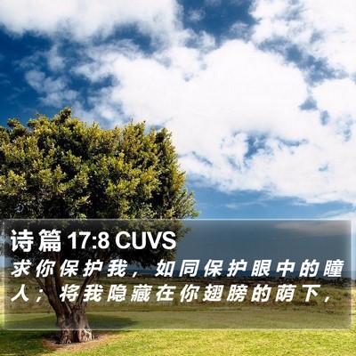 诗 篇 17:8 CUVS Bible Verse Image