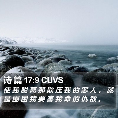 诗 篇 17:9 CUVS Bible Verse Image