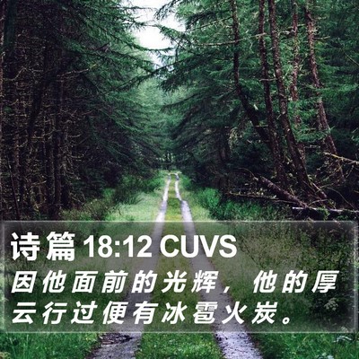 诗 篇 18:12 CUVS Bible Verse Image