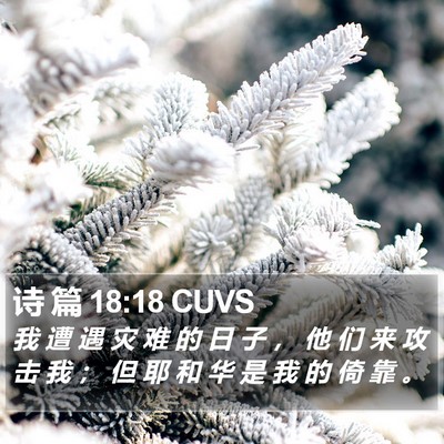 诗 篇 18:18 CUVS Bible Verse Image
