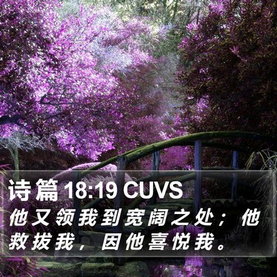 诗 篇 18:19 CUVS Bible Verse Image