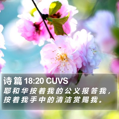 诗 篇 18:20 CUVS Bible Verse Image