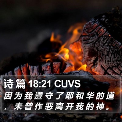 诗 篇 18:21 CUVS Bible Verse Image