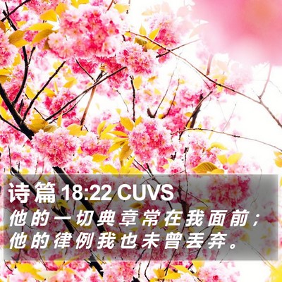 诗 篇 18:22 CUVS Bible Verse Image