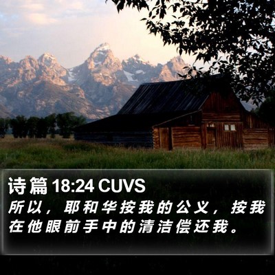 诗 篇 18:24 CUVS Bible Verse Image