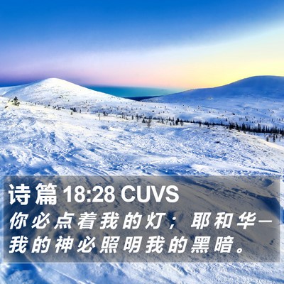 诗 篇 18:28 CUVS Bible Verse Image
