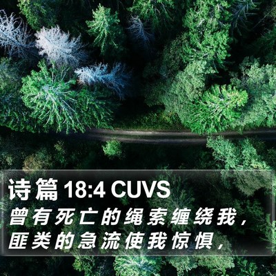 诗 篇 18:4 CUVS Bible Verse Image