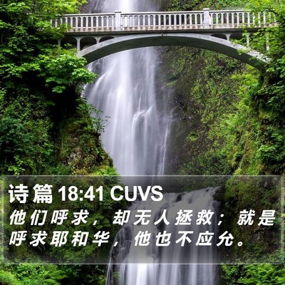 诗 篇 18:41 CUVS Bible Verse Image