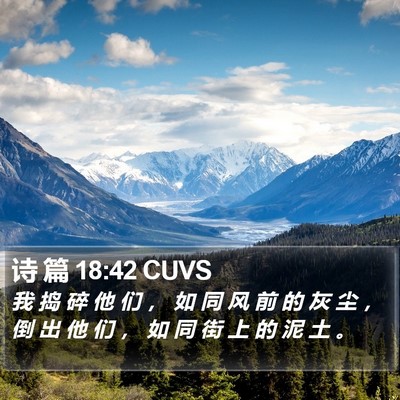 诗 篇 18:42 CUVS Bible Verse Image