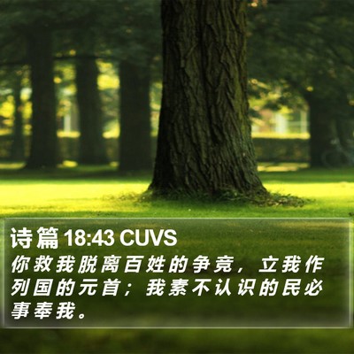 诗 篇 18:43 CUVS Bible Verse Image