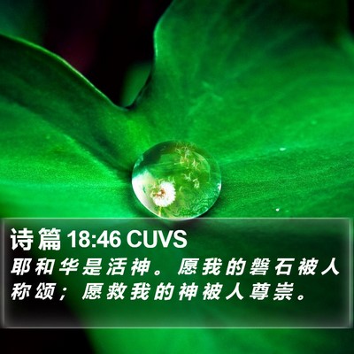 诗 篇 18:46 CUVS Bible Verse Image
