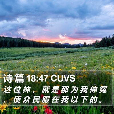 诗 篇 18:47 CUVS Bible Verse Image