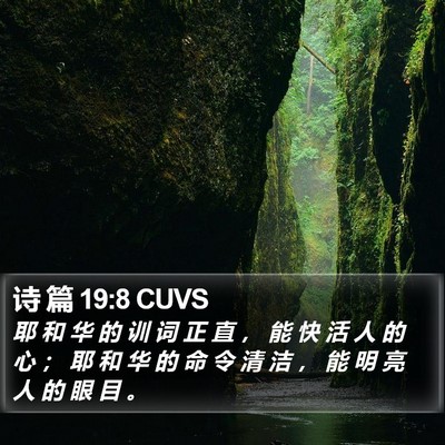 诗 篇 19:8 CUVS Bible Verse Image