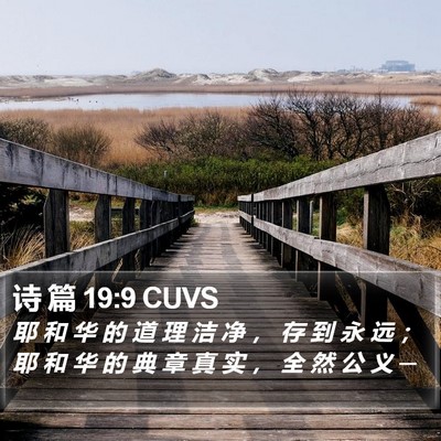 诗 篇 19:9 CUVS Bible Verse Image