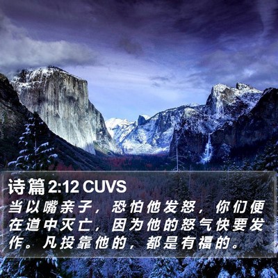 诗 篇 2:12 CUVS Bible Verse Image