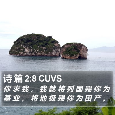 诗 篇 2:8 CUVS Bible Verse Image