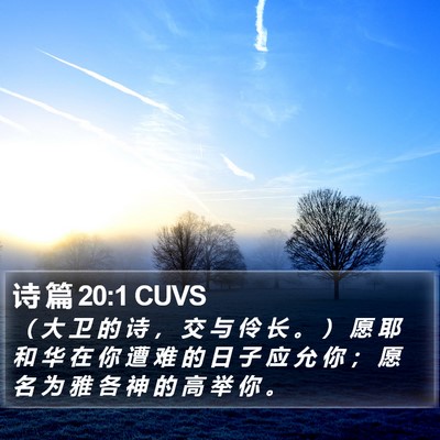 诗 篇 20:1 CUVS Bible Verse Image