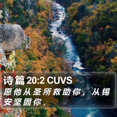 诗 篇 20:2 CUVS Bible Verse Image