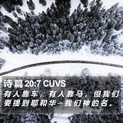 诗 篇 20:7 CUVS Bible Verse Image