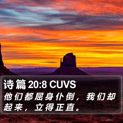 诗 篇 20:8 CUVS Bible Verse Image