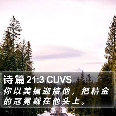 诗 篇 21:3 CUVS Bible Verse Image