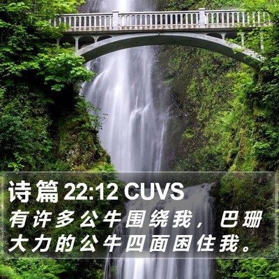 诗 篇 22:12 CUVS Bible Verse Image